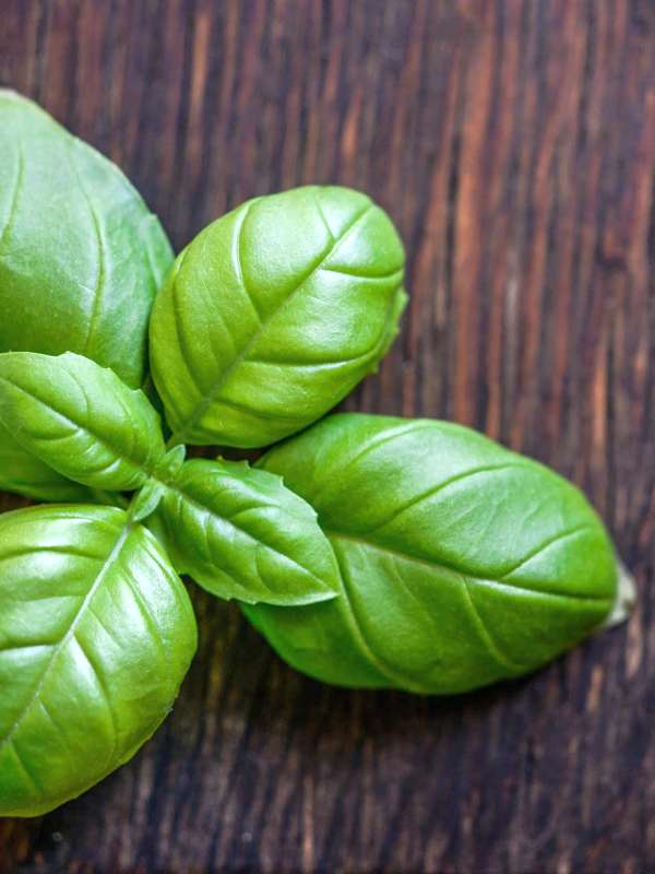Herbs To Lower Blood Pressure Aktiia