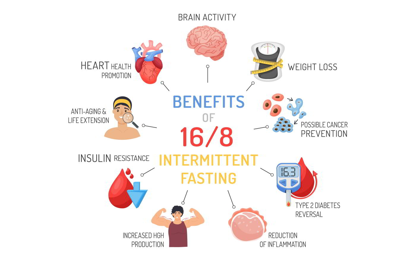 Intermittent Fasting & Blood Pressure - 2